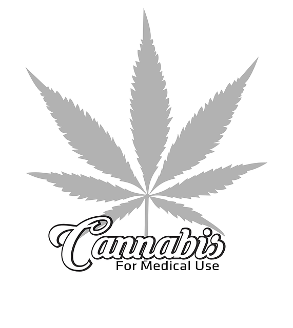logo4.jpg